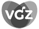 vgz vgz